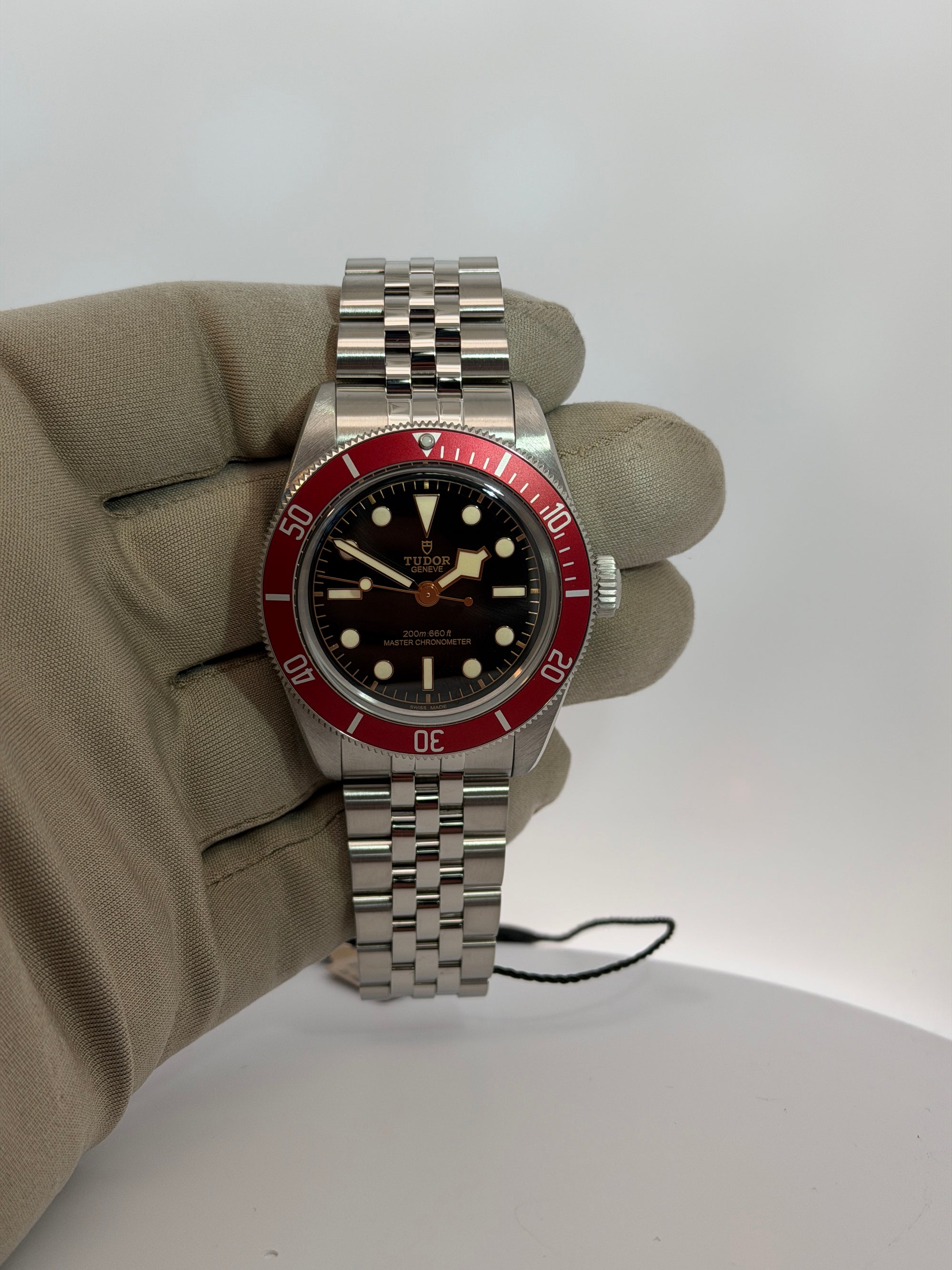 Tudor Black bay