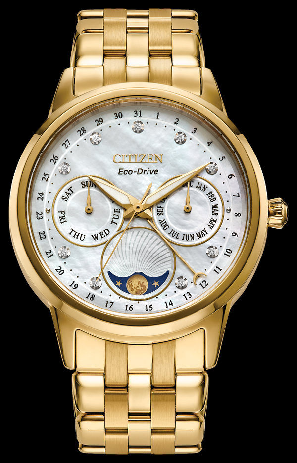 Citizen Watch | Citizen Calendar FD0002-57D Men's Watch | Medusa
