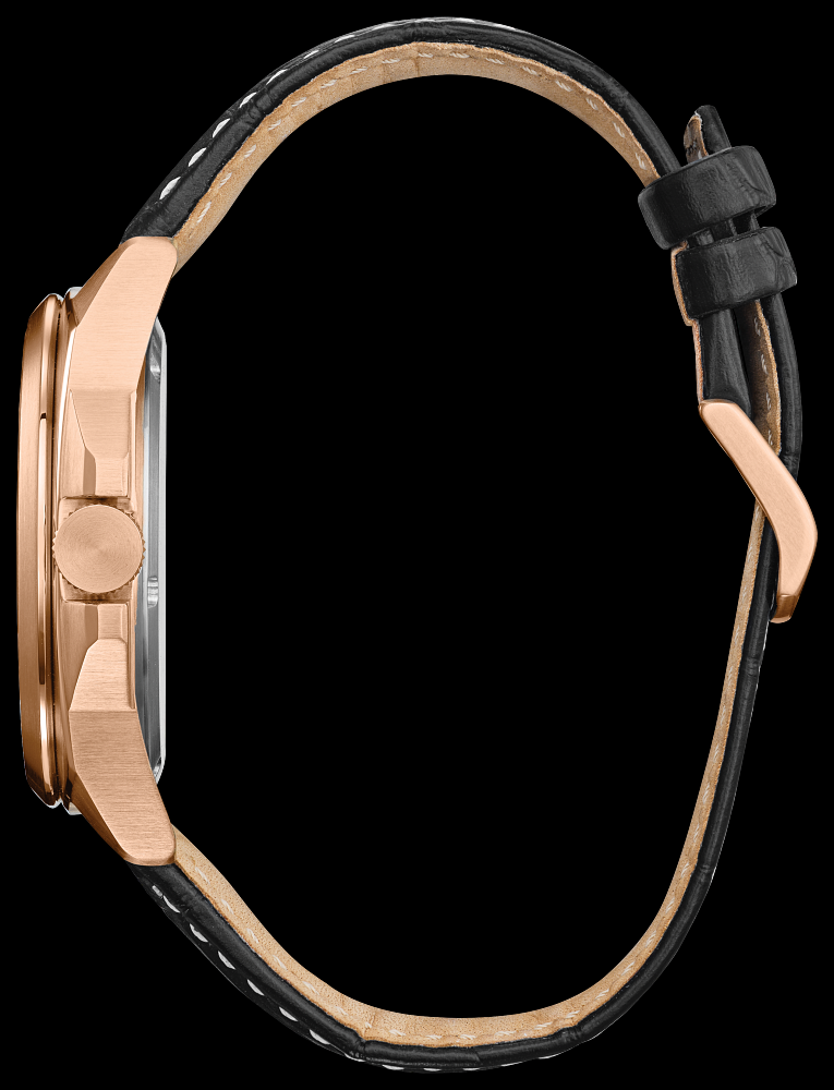 Montre Citizen | Montre Homme Citizen Endicott AW1723-02E Or Rose