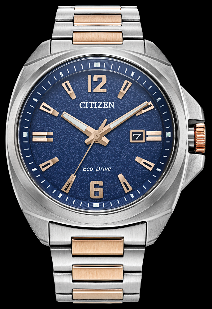 Montre Citizen | Montre Homme Citizen Endicott AW1726-55L Or Rose 2 Tons