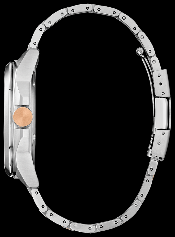 Citizen Watch | Citizen Endicott AW1726-55L Men's Watch | Medusa