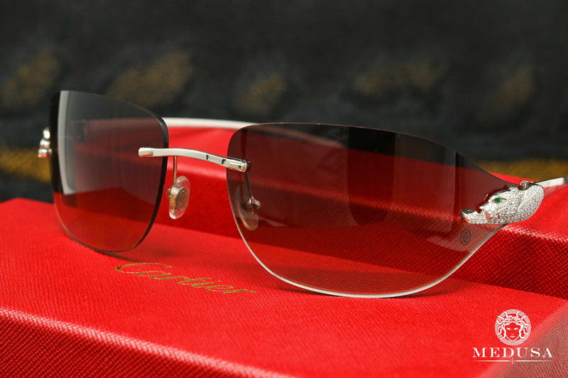 Cartier glasses | Cartier Panthère Men&#39;s Glasses | Silver Stainless