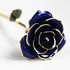 Bijoux Medusa | Article Divers Forever Golden Rose 24K Blue