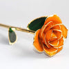 Bijoux Medusa | Article Divers Forever Golden Rose 24K Orange
