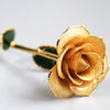 Bijoux Medusa | Article Divers Forever Golden Rose 24K Yellow